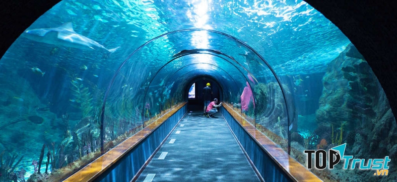 Thủy cung SEA LIFE London