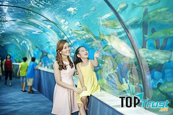 Thủy cung Vinpearl