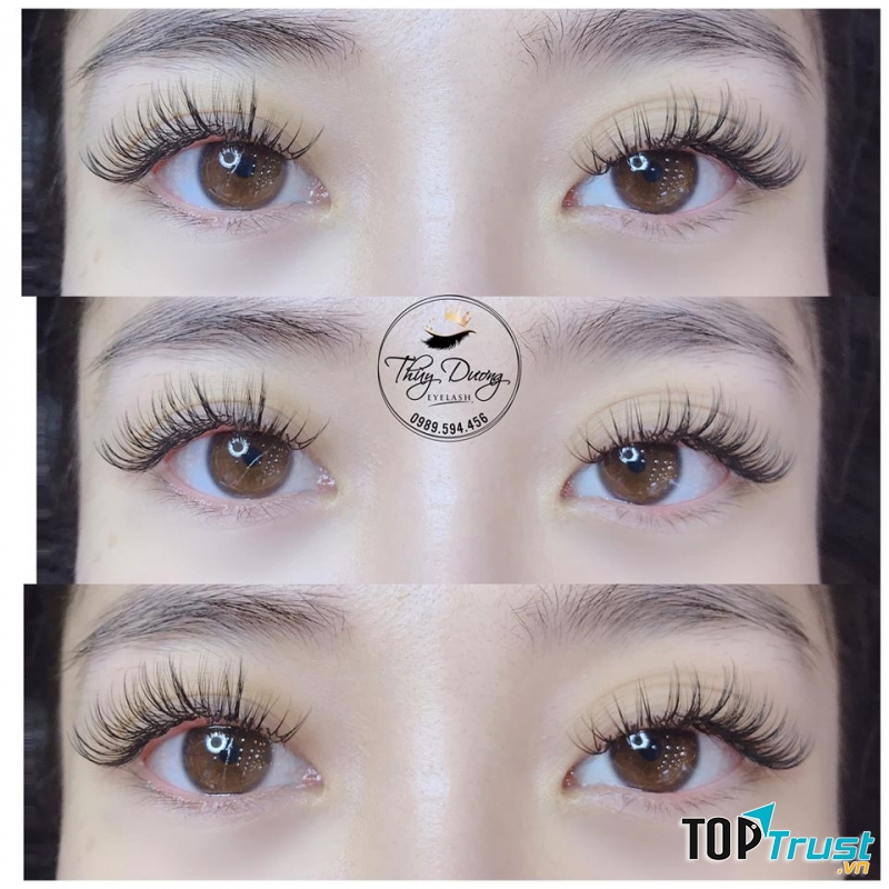 Thuỳ Dương Nối Mi