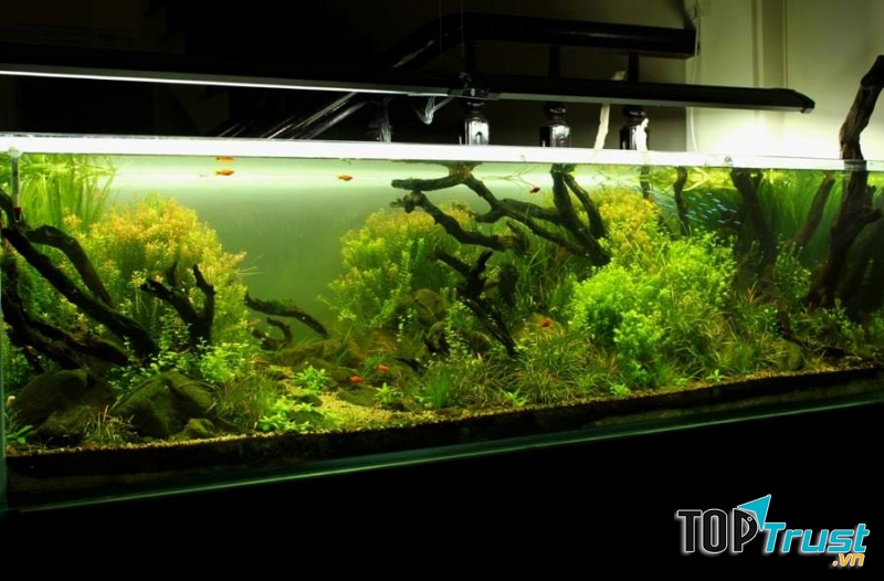 Cửa hàng này tuy nhỏ nhưng cũng rất đa dạng về mẫu mã chất lượng thì cực kì tốt, mẫu mã đa dạng và nhận thiết kế theo yêu cầu của khách