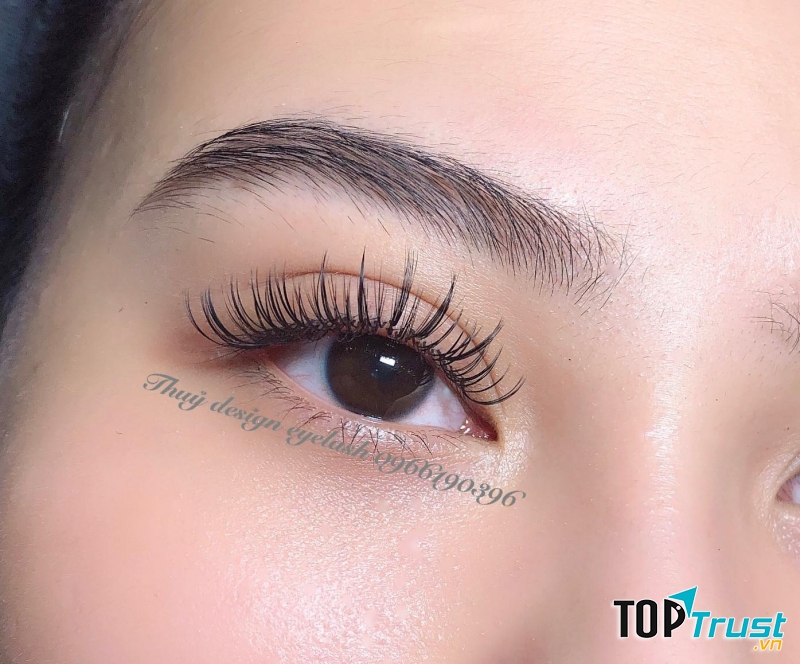 Thủy Top Nối Mi