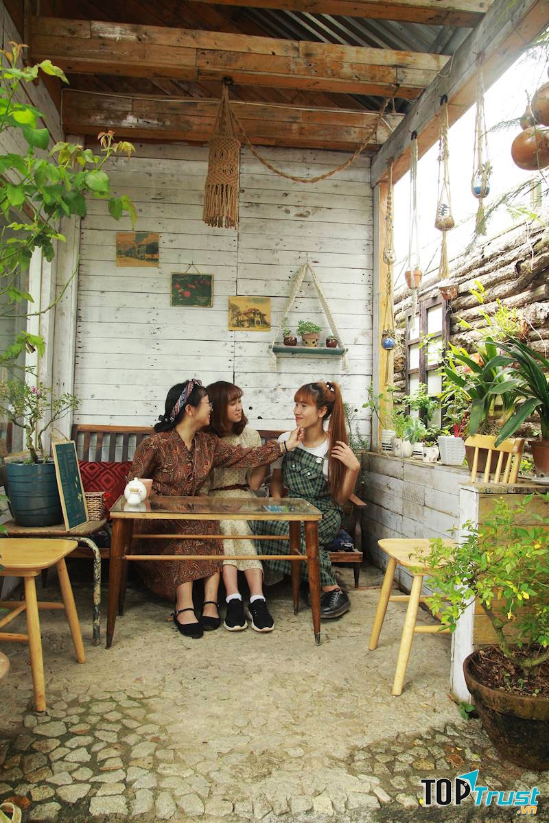 Những khung cửa để ánh sáng tràn vào