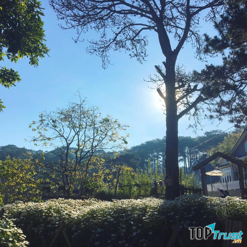 Túi Mơ To còn có view ngắm xuống khu nhà trồng rau rất đẹp, thật tuyệt vời để có các bạn sống ảo