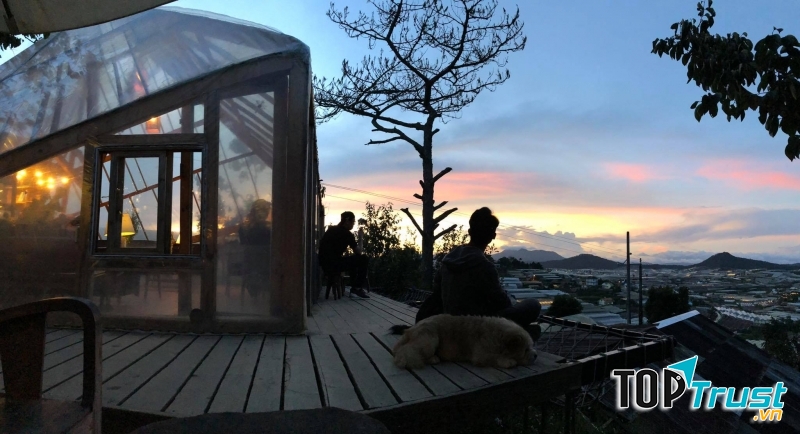 Tiệm cà phê Túi Mơ To