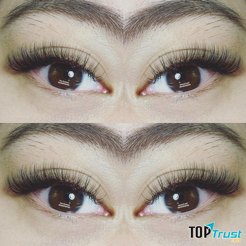 Tien Beauty (Tien Eyelash)
