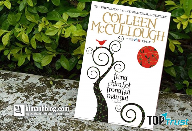 Tiếng chim hót trong bụi mận gai - Colleen McCulough