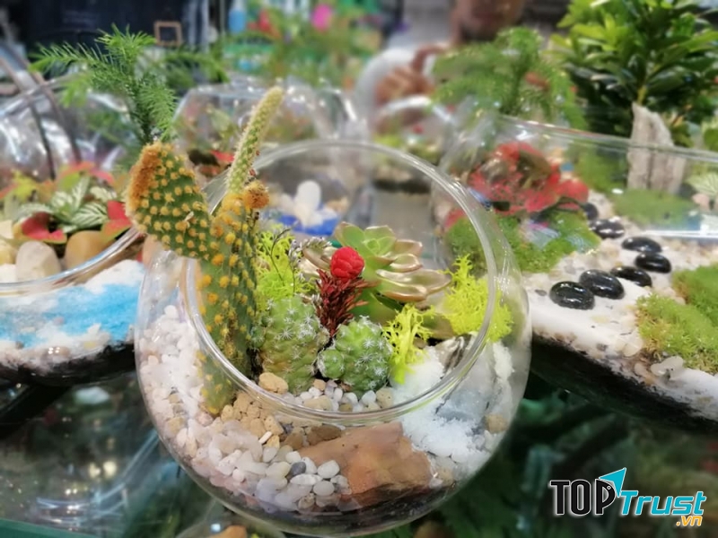 Tiểu cảnh 24h