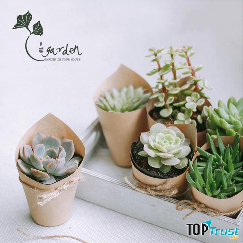 Ti.Garden
