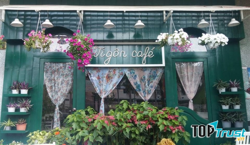Tigon Cafe