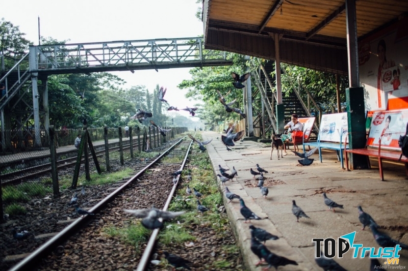 Tìm bình yên nơi đất Phật ở Yangon