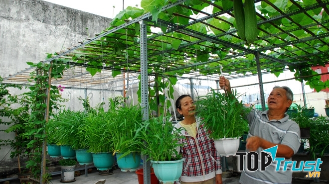 Tranh thủ làm chăm sóc vườn nhà cũng không tồi