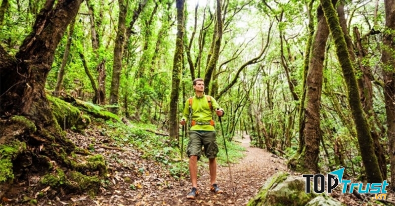 Tìm hiểu khu vực xung quanh.