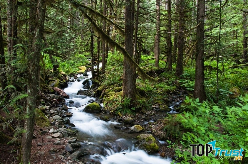 Tìm kiếm nguồn nước sạch