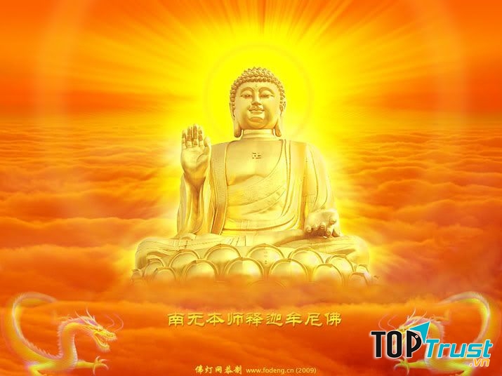 Tìm kim
