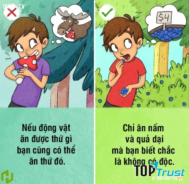 Tìm nguồn thức ăn an toàn