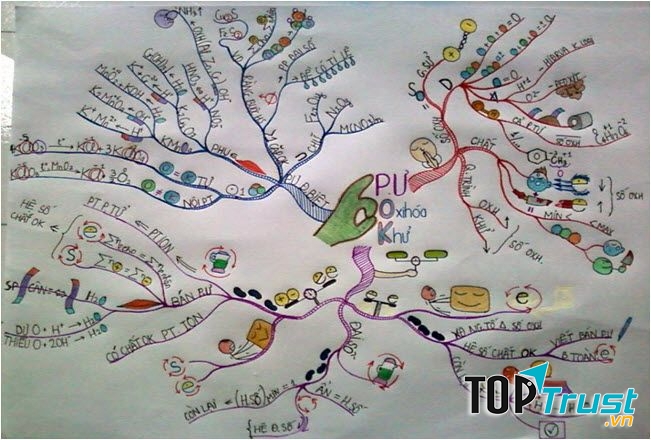 Sơ đồ cây giúp tăng khả năng ghi nhớ.