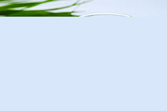 Nguồn Internet