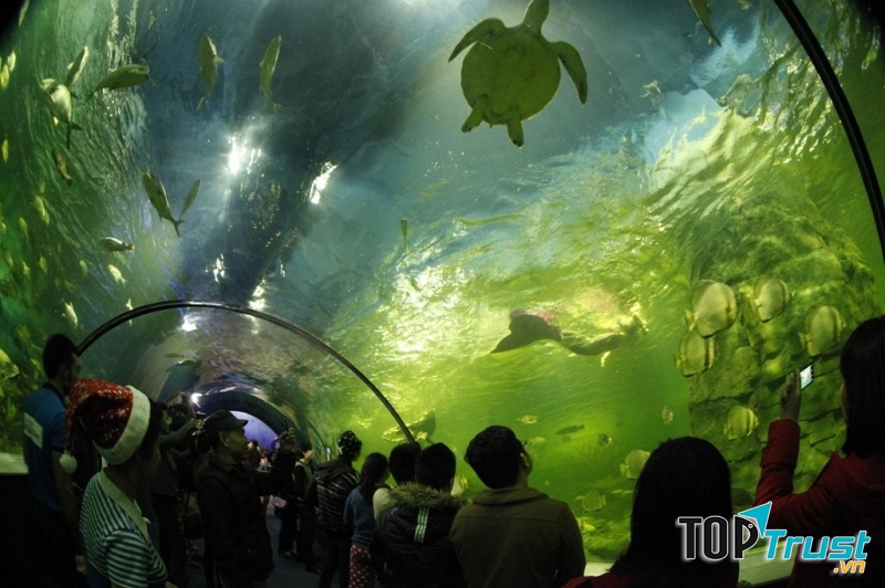 Thủy cung Vinpearlland Aquarium - Times City