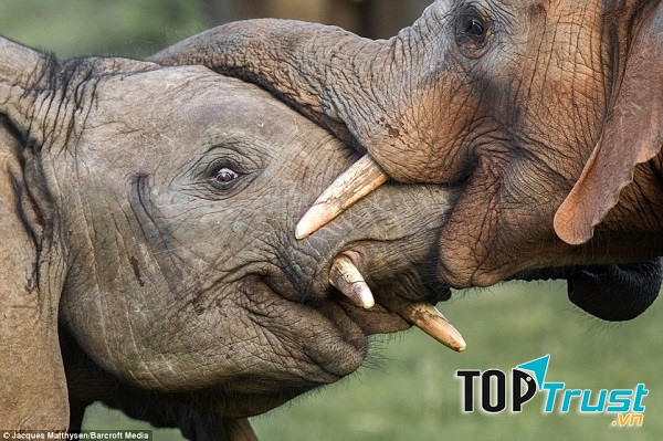 Ảnh minh họa (Nguồn Internet)