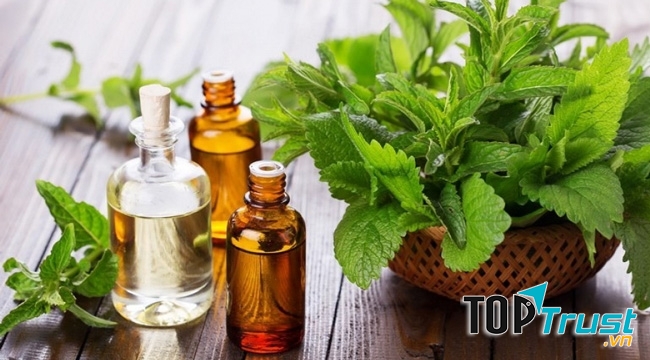 Tinh dầu bạc hà giúp thư giãn tinh thần