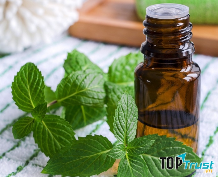 Ảnh minh họa (Nguồn internet)