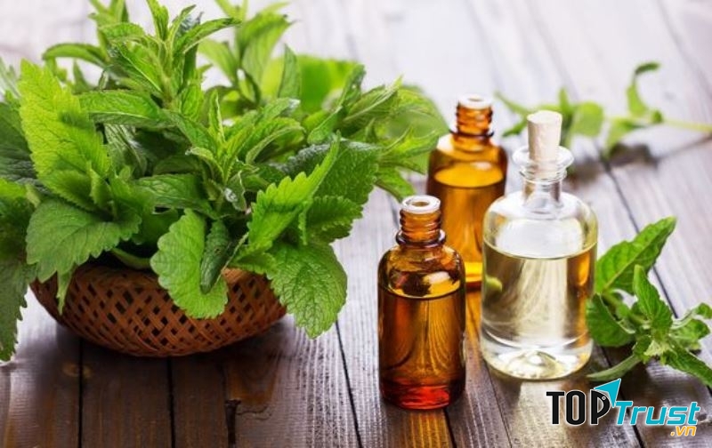 Tinh dầu bạc hà