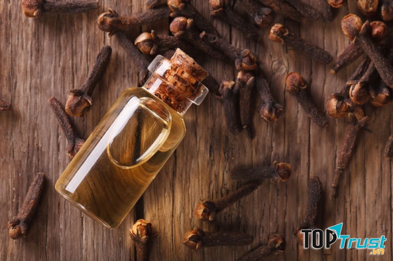 Tinh dầu đinh hương