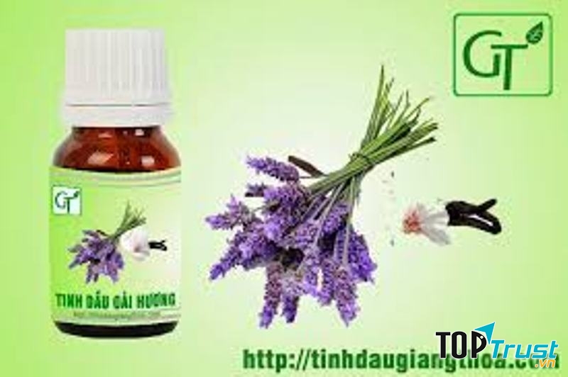 Tinh dầu oải hương có bán tại Tinh dầu và Thảo Mộc GT