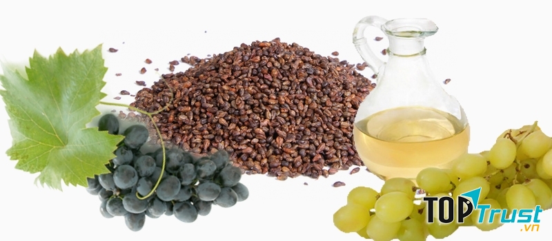 Tinh dầu hạt Nho có tác dụng rất lớn đối với việc làm đẹp