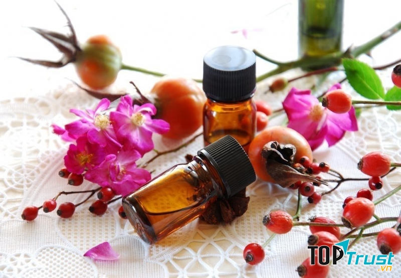 Tinh dầu hạt tầm xuân