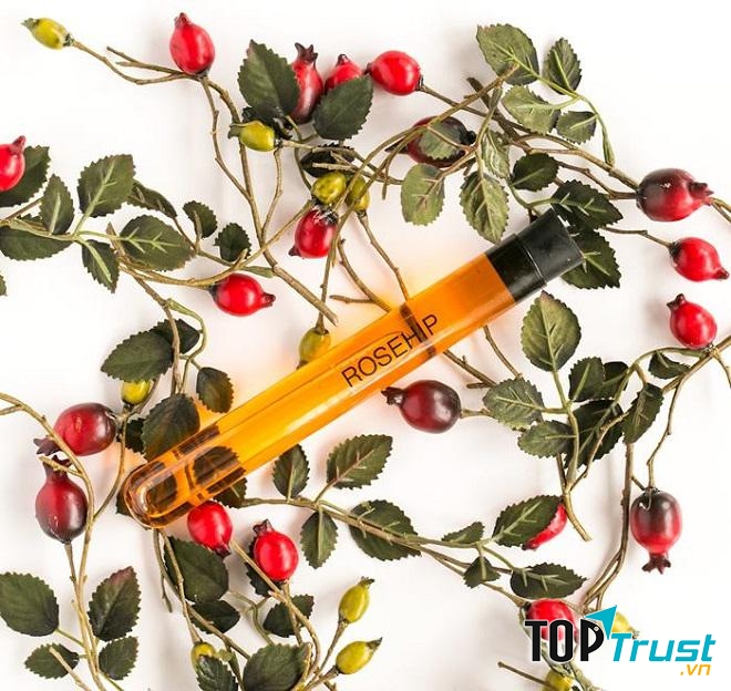 Tinh dầu hạt tầm xuân