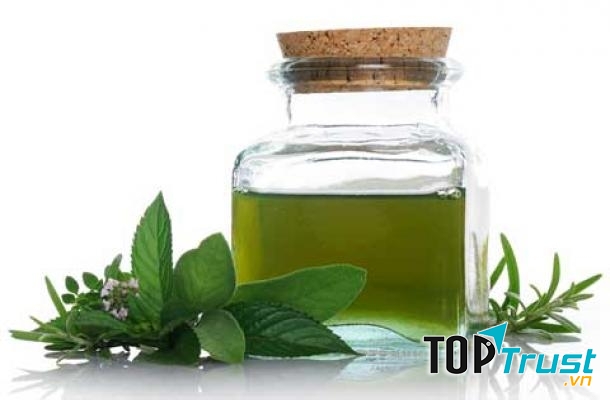 Tinh dầu hạt Trà xanh