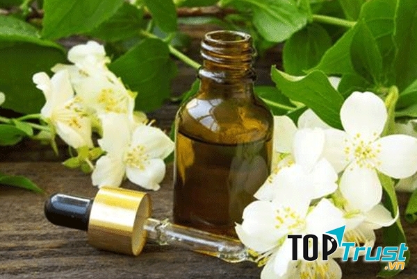 Tinh dầu hoa nhài