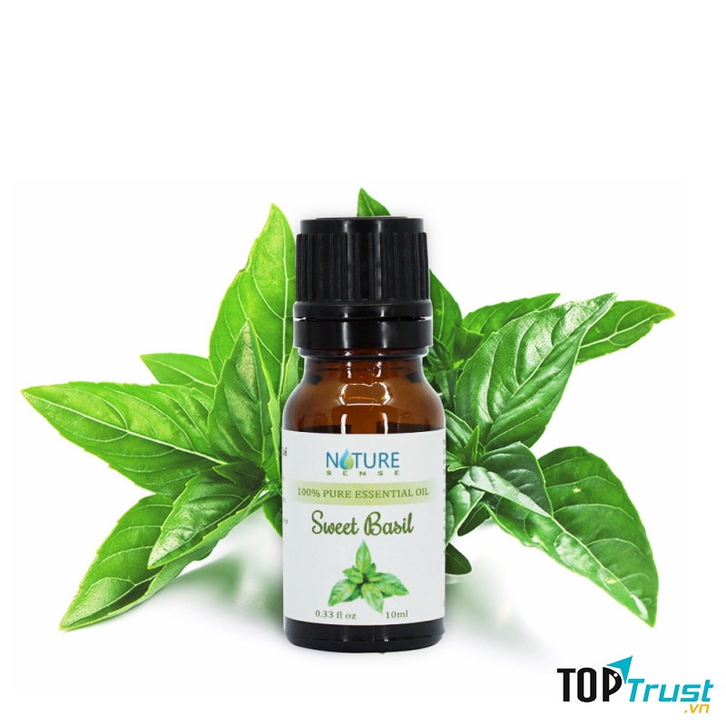 Tinh dầu húng quế