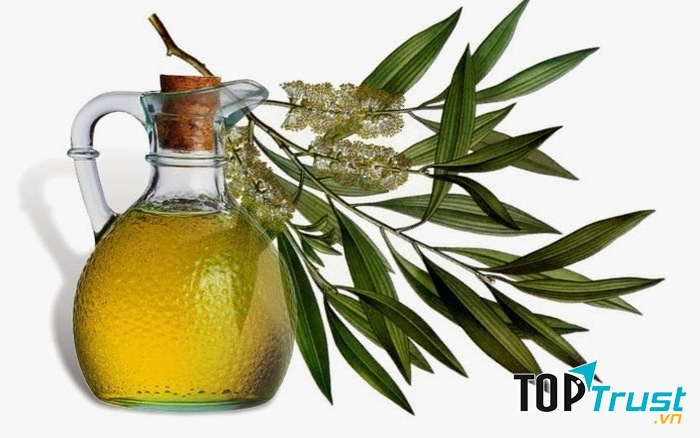 Ảnh minh họa (Nguồn internet)