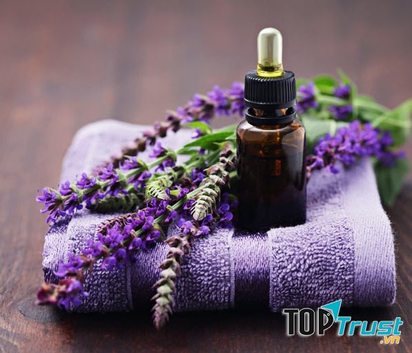Tinh dầu Lavender