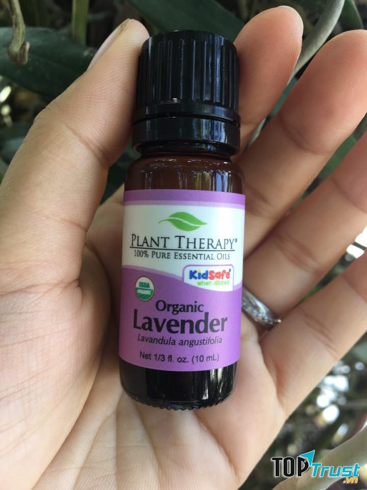 Tinh dầu lavender hữu cơ Plant Therapy