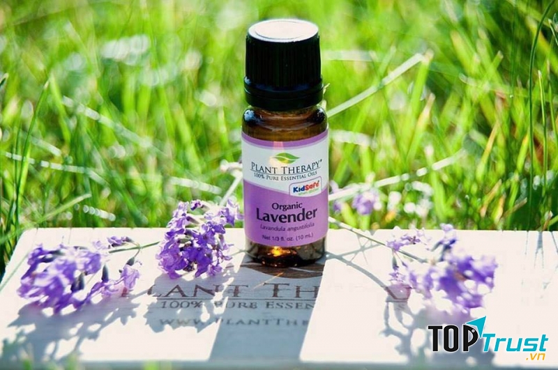 Tinh dầu lavender hữu cơ Plant Therapy