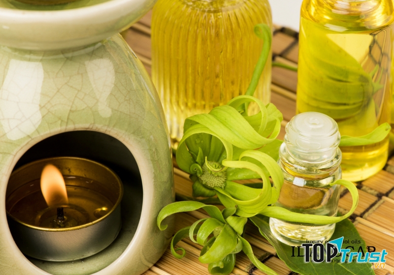 Tinh dầu Ngọc Lan Tây Nguyên Chất – Ylang Essential Oil