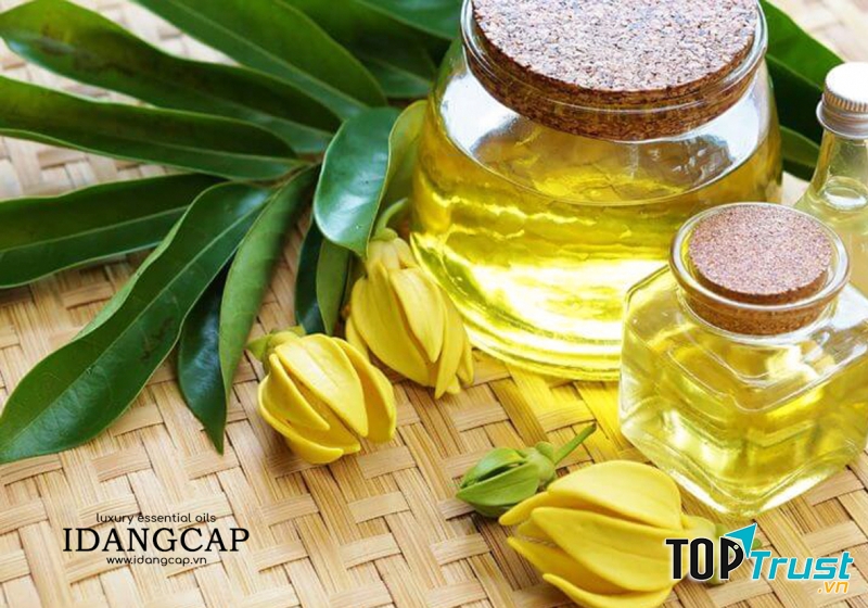 Tinh dầu Ngọc Lan Tây Nguyên Chất – Ylang Essential Oil