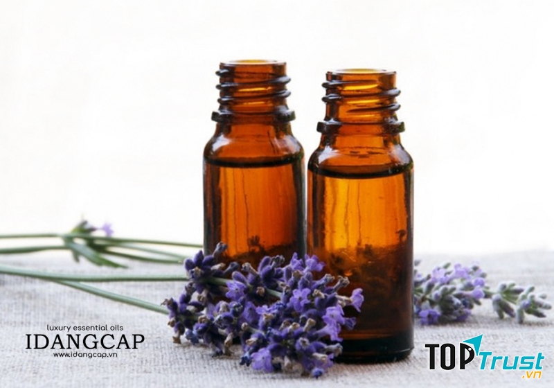 Tinh Dầu Oải Hương Nguyên Chất – Lavender Essential Oil