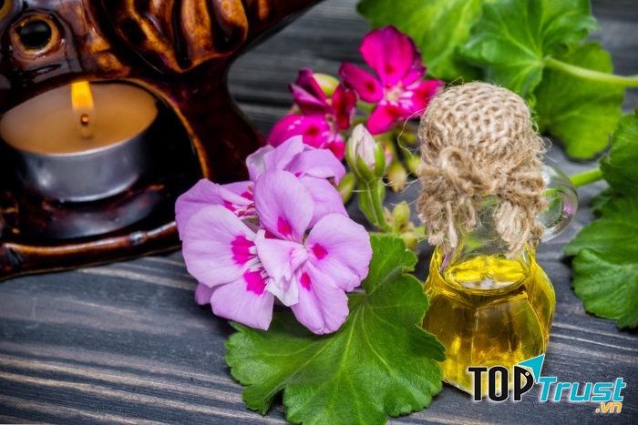 Tinh dầu phong lữ