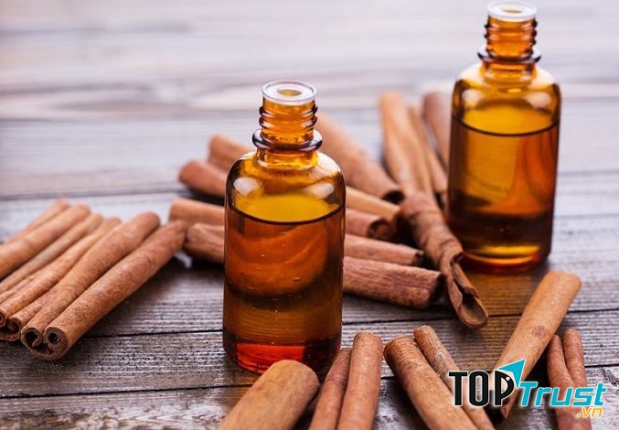 Ảnh minh họa (Nguồn internet)