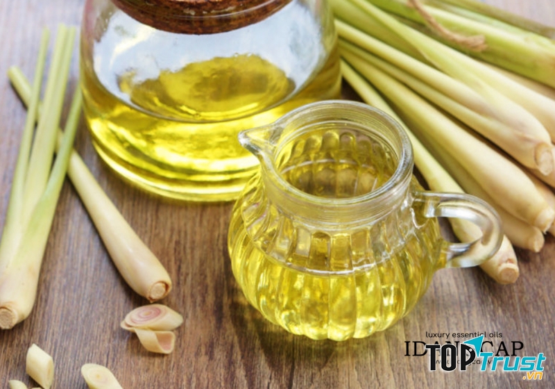 Tinh Dầu Sả Chanh Nguyên Chất – Lemongrass Essential Oil