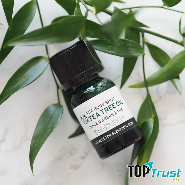 Cho một hai giọt tinh dầu vào dầu gội sẽ khiến da đầu ít gàu hơn