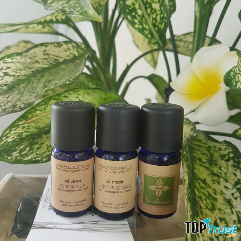 Tinh dầu thiên nhiên Hương Sắc Việt