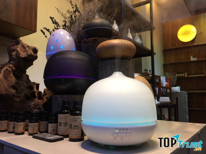 Tinh Dầu Thiên Nhiên Nhập Khẩu - Công ty TNHH TM Xuất Nhập Khẩu Quốc tế IDANGCAP Việt Nam