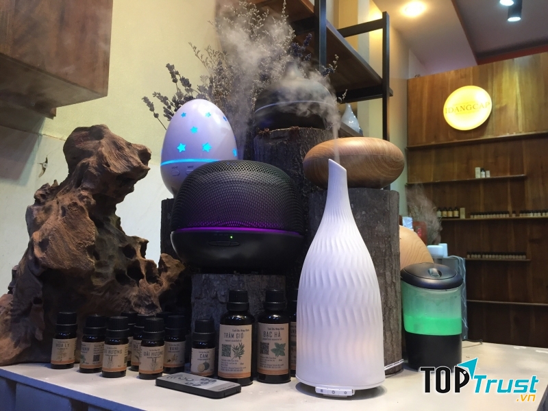 Tinh Dầu Thiên Nhiên Nhập Khẩu - Công ty TNHH TM Xuất Nhập Khẩu Quốc tế IDANGCAP Việt Nam