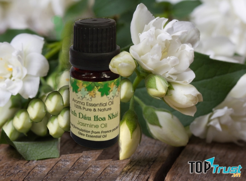 Tinh dầu hoa nhài Oleo