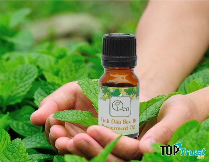 Tinh dầu thiên nhiên Oleo